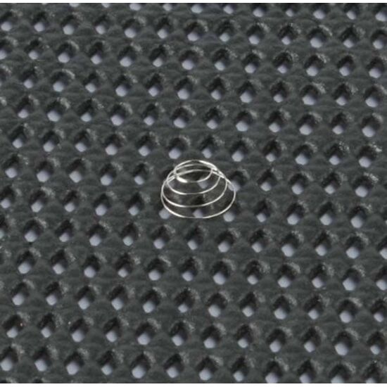 Regulator Spring (70N)