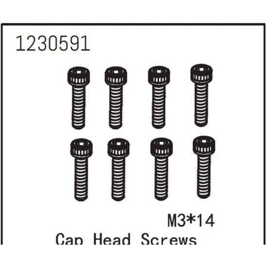 AB1230591-Cap Head Screw M3*14 (8)