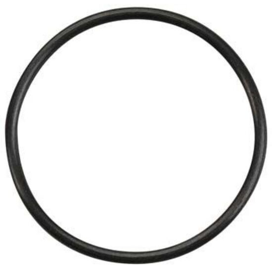 O-RING ZU DROSSEL-GEHAUSE - 29315000