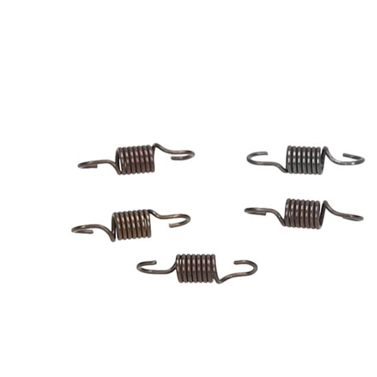 ORI88227-CRF Manifold Spring (small/5pcs)