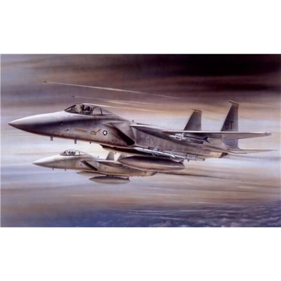 Large Starter Set - McDonnell Douglas F-15A Eagle