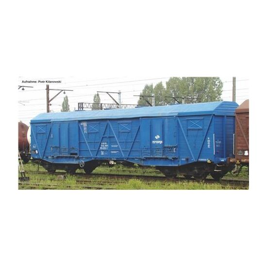 Großraumgüterwagen 401K PKP V