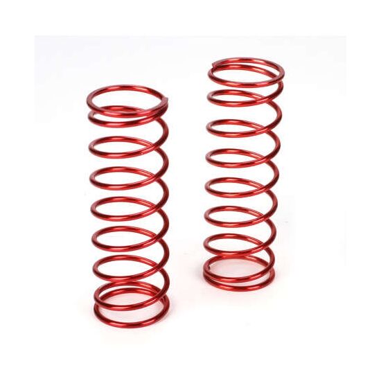 5T Ressorts avant duret├® 12.9lb (2)