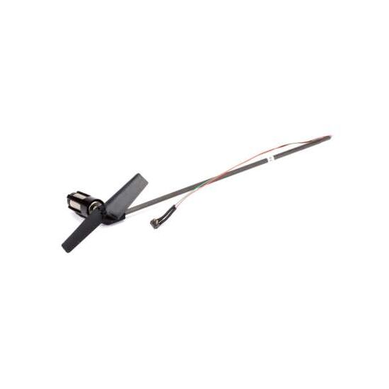 NCPX Couronne principale, 3 image