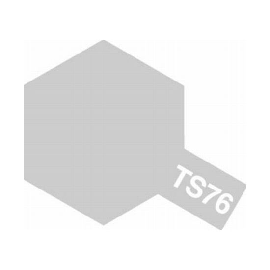 Spray TS-76 Mica Silver
