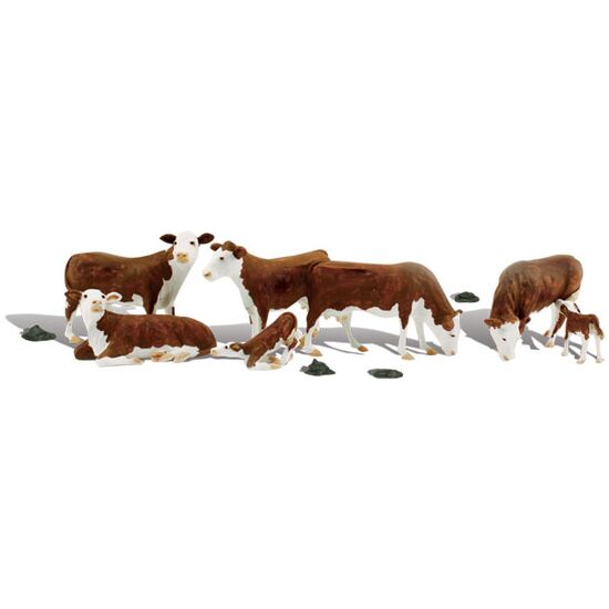 H0 Vaches Hereford