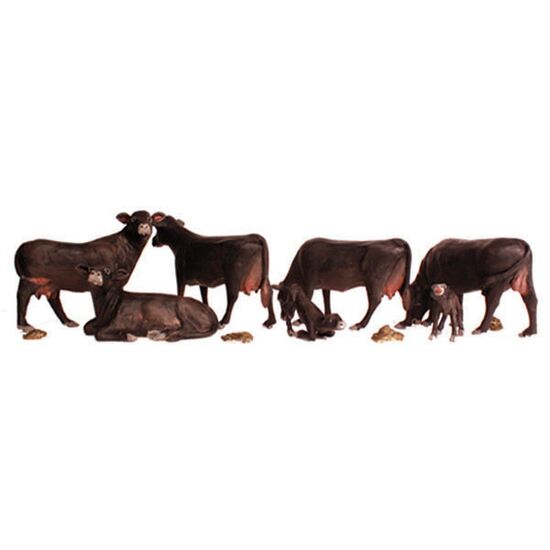 H0 Bœufs noirs Angus