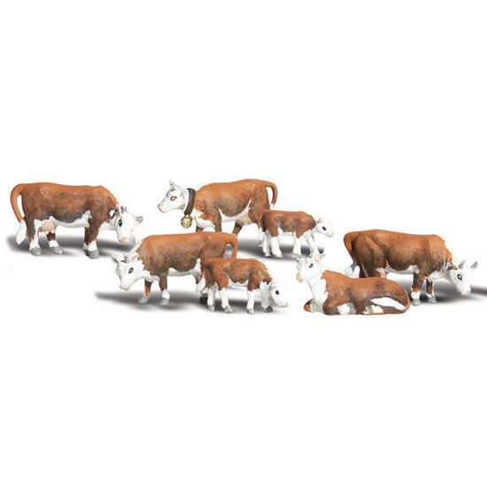 N Vaches de Hereford