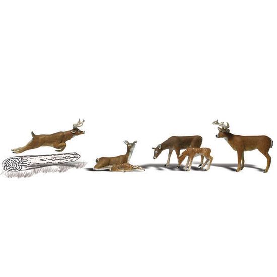 N Hirsche / Wild