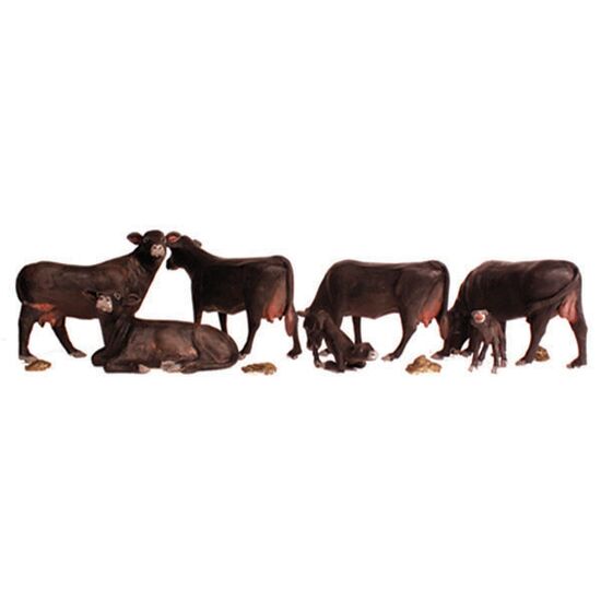 N Schwarze Angus-Rinder
