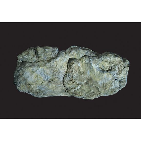 Moule de la roche lavée