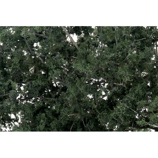 Feuillage fin vert foncé