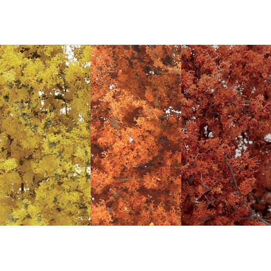 Feuillage fin couleur d'automne