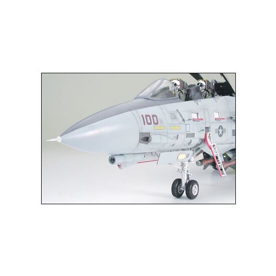 Grumman F-14A Tomcat, 2 image