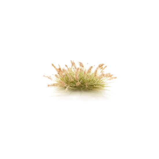 Semences brunes, 2 image