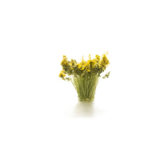 Herbe des prairies claire, 2 image