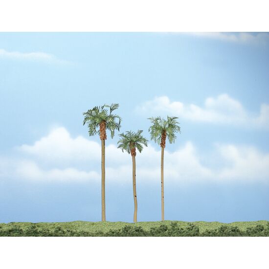 3 Königspalmen 11 5 cm  10 cm u. 7 5 cm