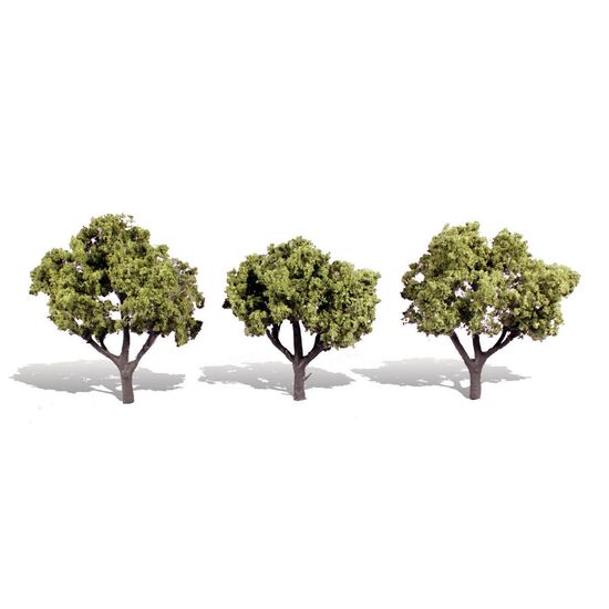 3-4 Early Light 3/Pk