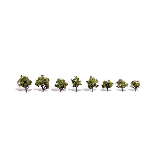 3/4-1 1/4 Early Light 8/Pk