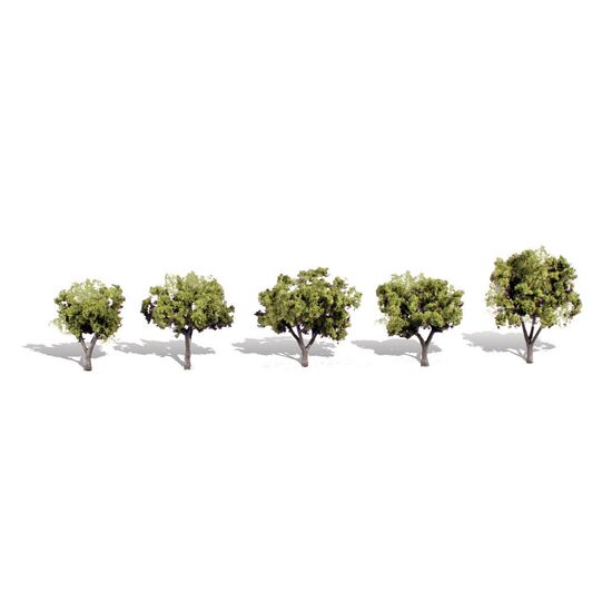 1 1/4-2 Early Light 5/Pk