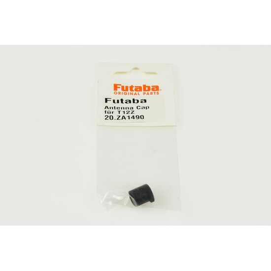 Antenna Cap