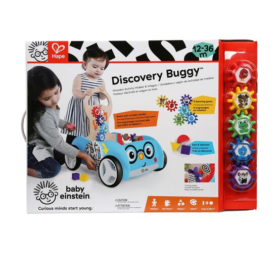 Discovery Buggy