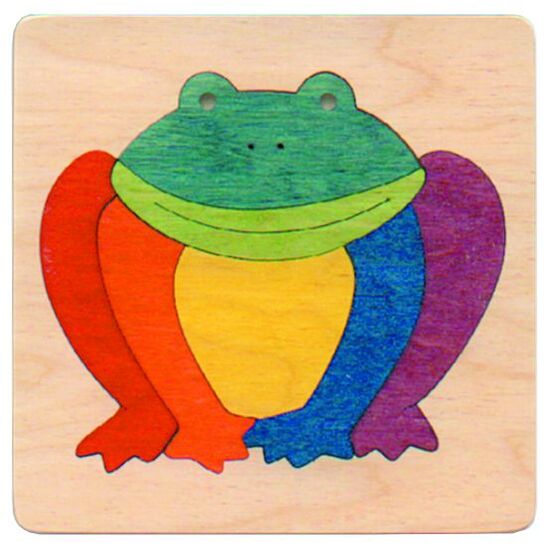 Grenouille arc-en-ciel