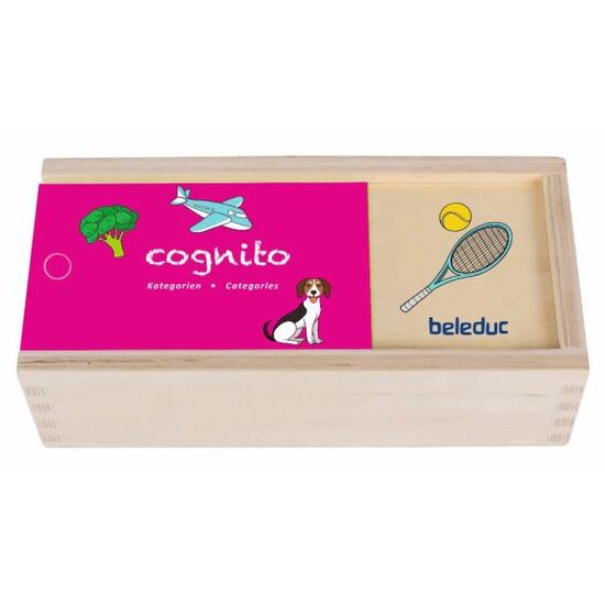 Catégories Cognito