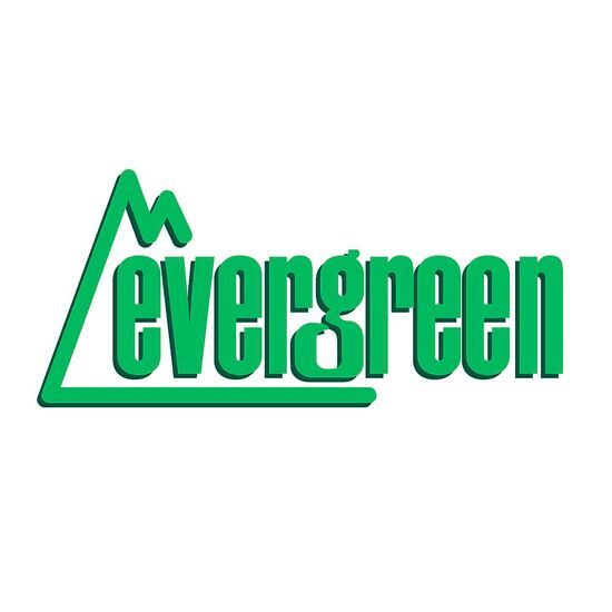 Platte weiss 15x30cm 2.5mm Dicke (1 stk)