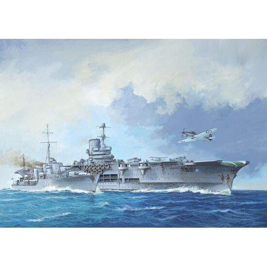 HMS Ark Royal + Tribal Class Des