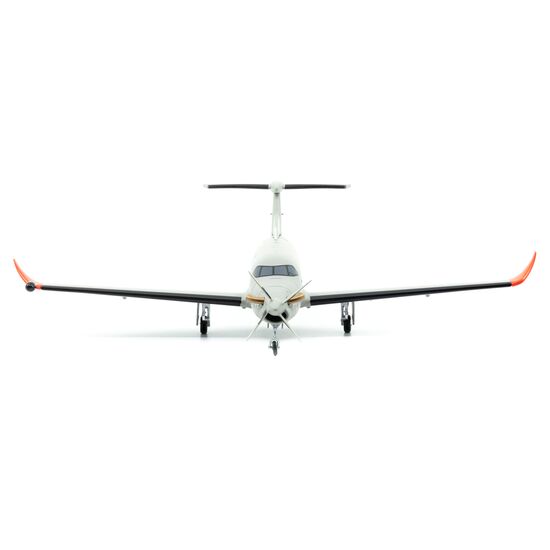 Pilatus PC-12 Armasuisse HB-FOG, 2 image