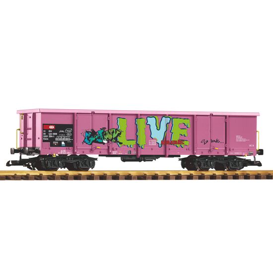 SBB Eaos Pink mit Graffiti  Ep. VI