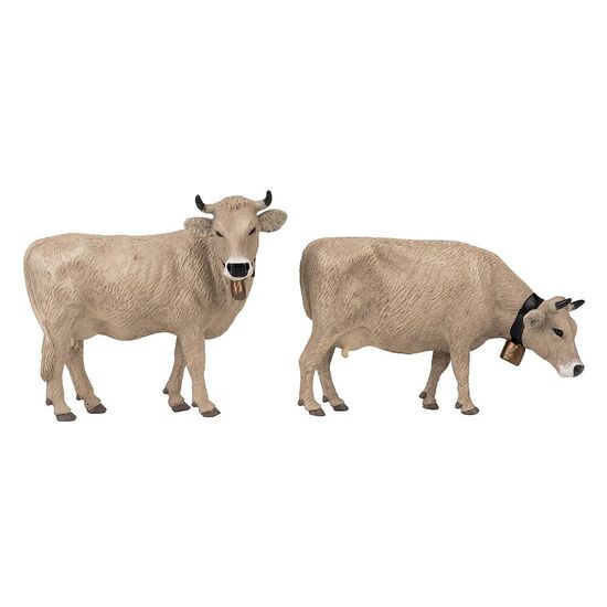 Vaches de montagne