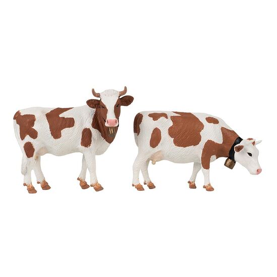 Vaches au pelage rouge