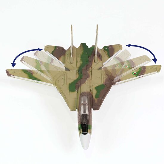 USS Enterprise Deck H x F-14 Tomcat IRIAF, 3 image