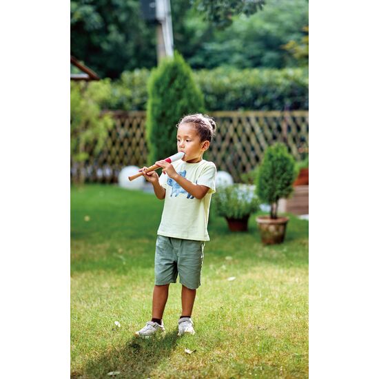 Musician's Starter Recorder, 2 image