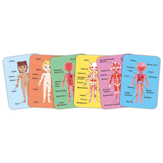 Magnetisches Anzieh Puzzle, 3 image