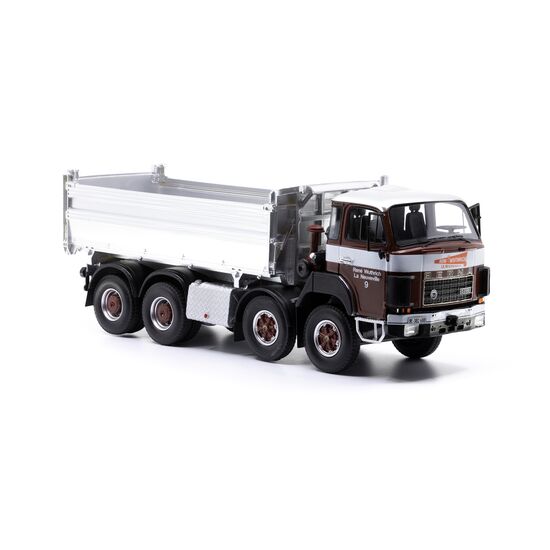 Berna D290 8x4 Kipper Wuthrich La Neuveville, 3 image