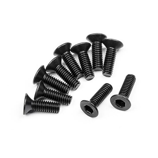 SPORT 3 - FLAT HEAD SCREW M2.5X8MM (HEX SOCKET/10PCS)