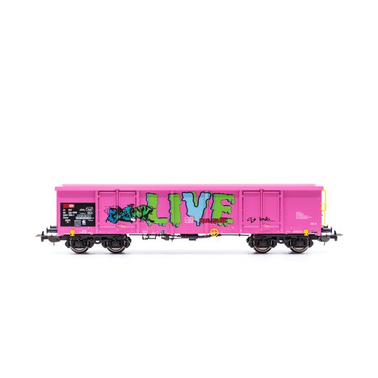 CFF 2 wagons à bords hauts Eaos rose 1x Graffiti EpV, 3 image