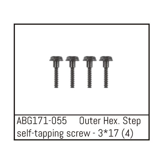 Outer Hex. Step Self-Tapping Screw M3*17 (4)
