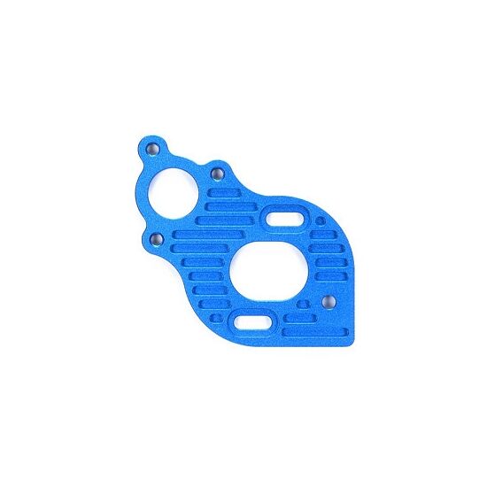 TA06 Heat Sink Motor Plate