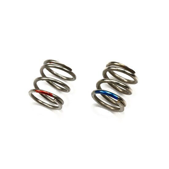 T3-01 Rear Spring Set (Soft/ Hard)