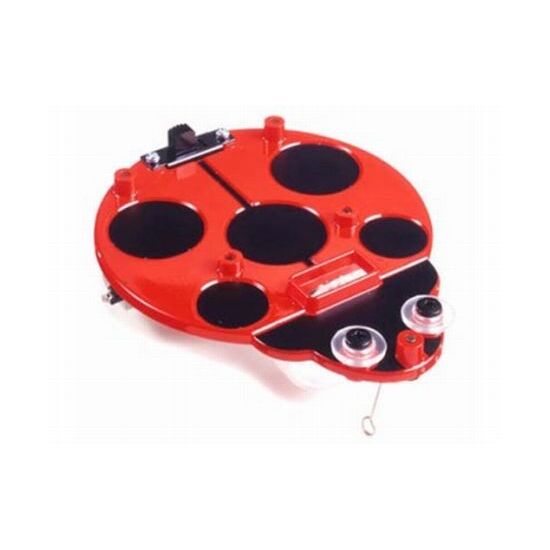 Sliding Ladybug