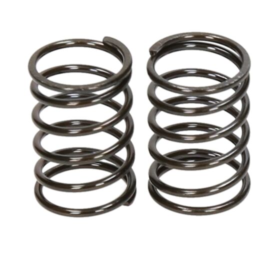 FEDERN TOURING CAR (XTRA HARD-1.5x6.25x25) 2 ST.