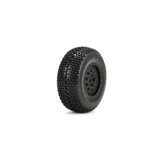 XXX-SCT/SCB Pneus Eclipse s/jantes