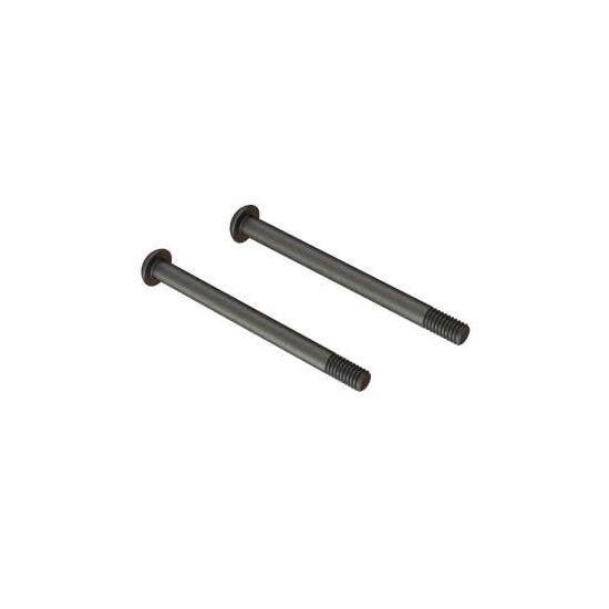 Screw Hinge Pin M4x48mm (2)