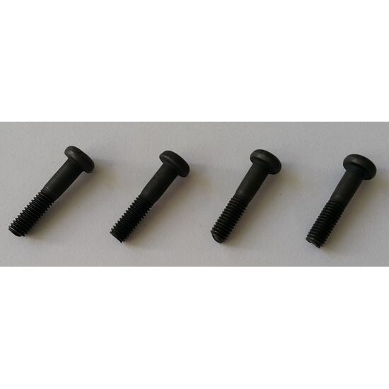 3x14mm Screws (4p)