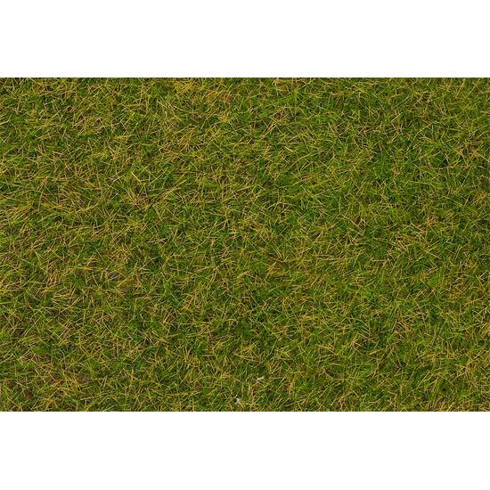 Fibres à saupoudrer Herbe sauvage Prairie d'été précoce 4 mm 1 kg