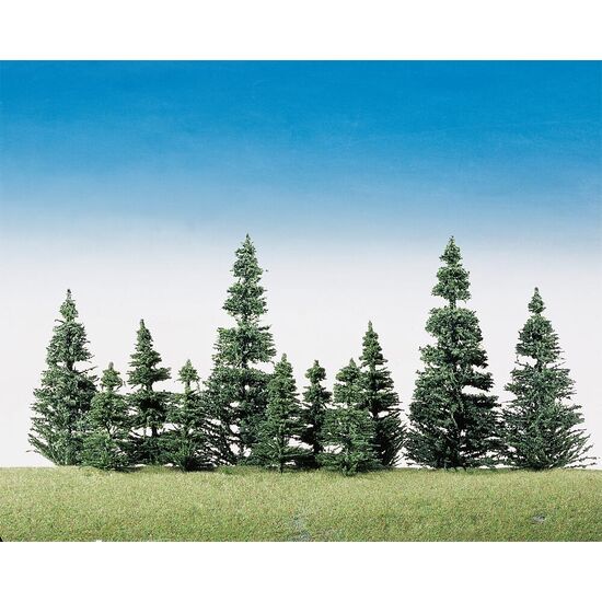 40 sapins nobles